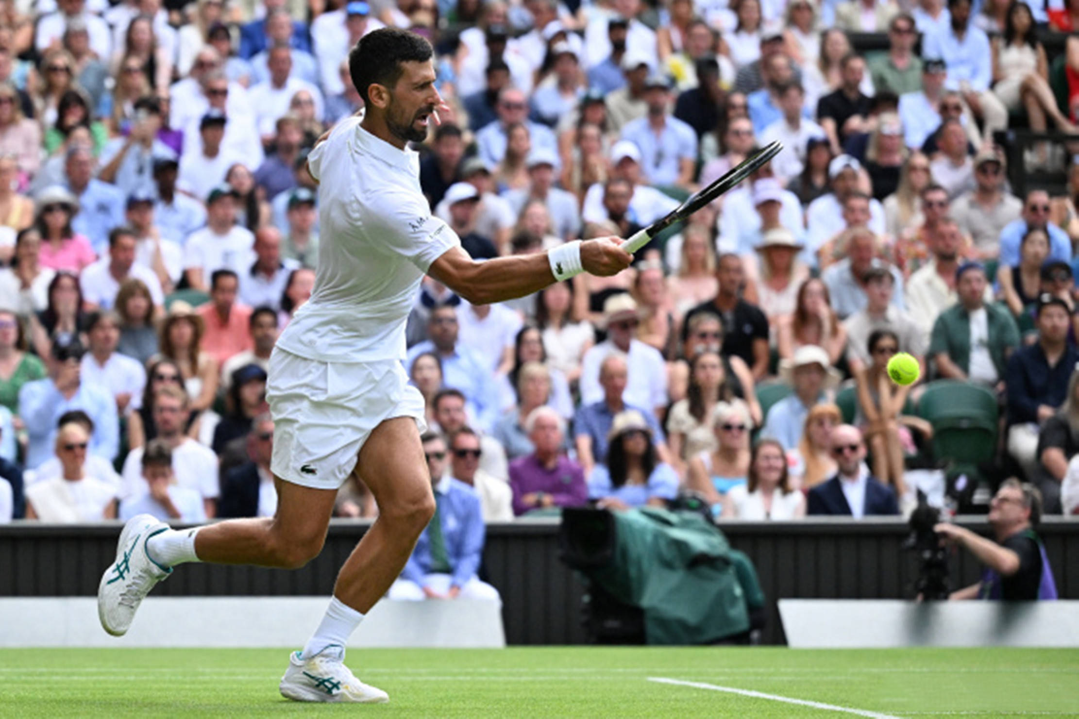 德约科维奇迎来七赛季高光表现，曼联球迷沸腾！的简单介绍-爱游戏